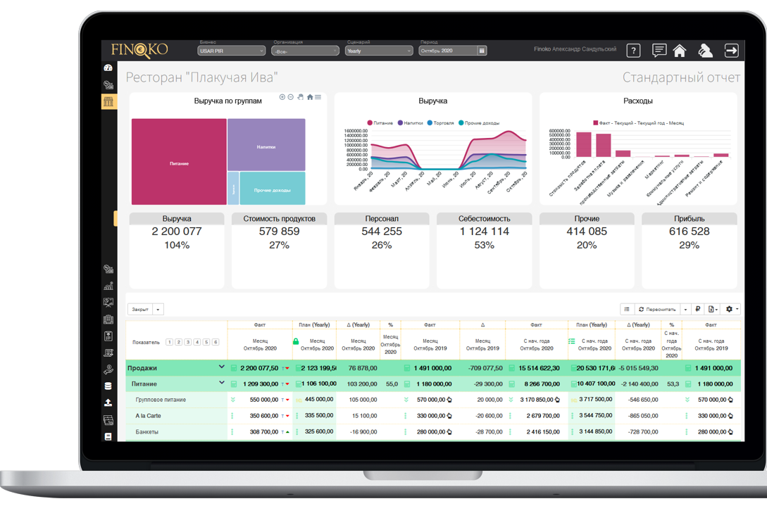 Автоматизация бюджета доходов и расходов