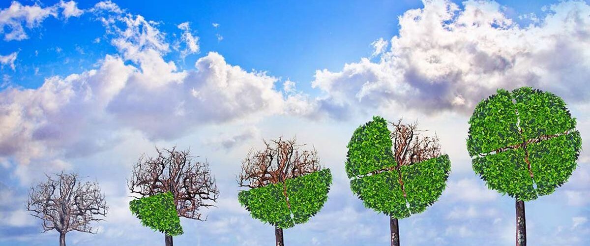 Учетные периоды в ресторанном бизнесе