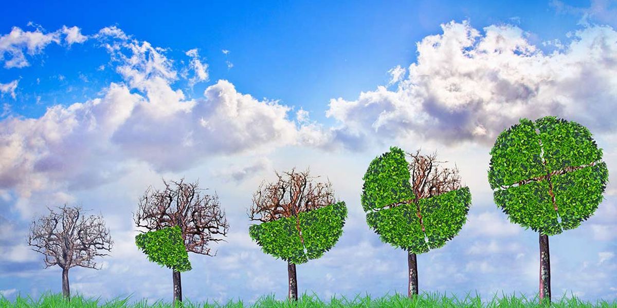 Основные 4 учетные периода в ресторане?